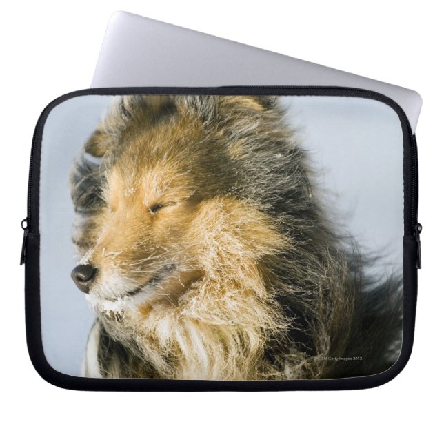 Shetland Sheepdog Laptop Sleeve (Front)