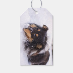 Shetland Sheepdog Laying In Snow Gift Tags