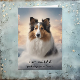 Shetland Sheepdog Loss Heaven Sympathy Card