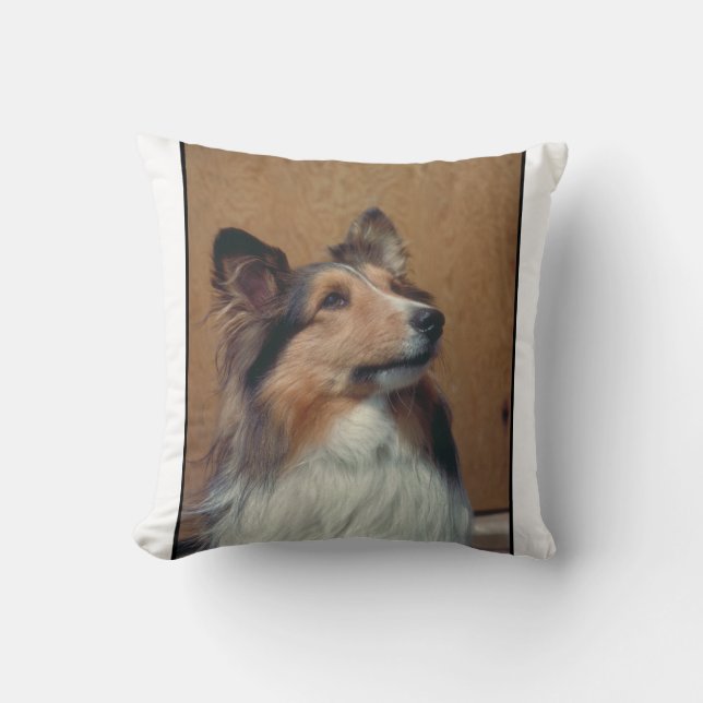 Shetland Sheepdog MoJo Pillow (Front)