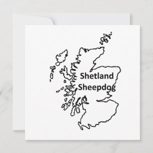 Shetland Sheepdog Name In Origin Invitation