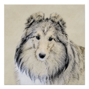 Shetland Sheepdog Painting - Cute Original Dog Art Poster