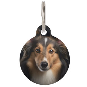 Shetland Sheepdog Pet Tag