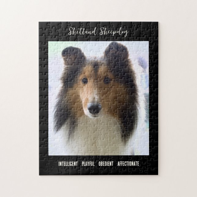 Shetland Sheepdog Photo Dog Breed Jigsaw Puzzle (Vertical)