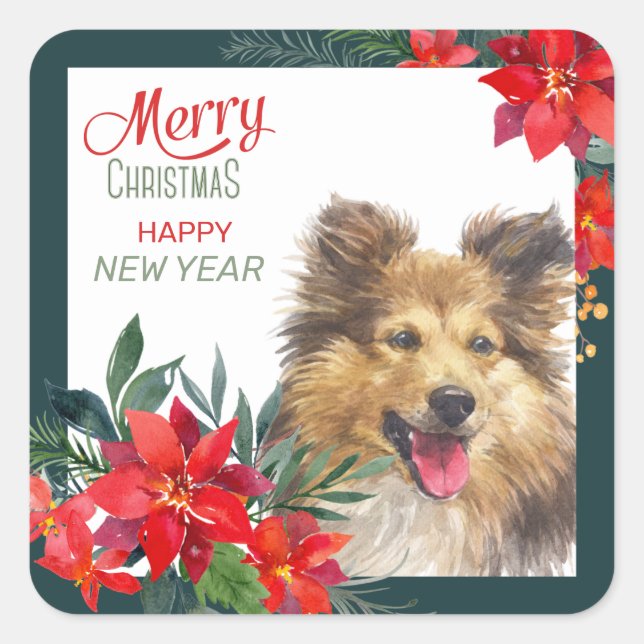 Shetland Sheepdog Poinsettia Bouquet Christmas Square Sticker (Front)