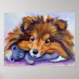 Shetland Sheepdog Print