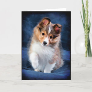 Shetland Sheepdog Puppy Greeting Card