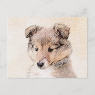 Shetland Sheepdog Puppy Painting Original Dog Art Postcard