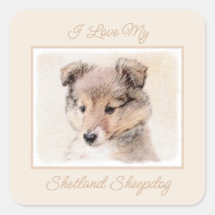 Shetland Sheepdog Puppy Painting Original Dog Art Square Sticker
