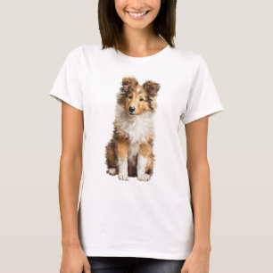 Shetland Sheepdog Puppy Portrait Sable Women T-Shirt