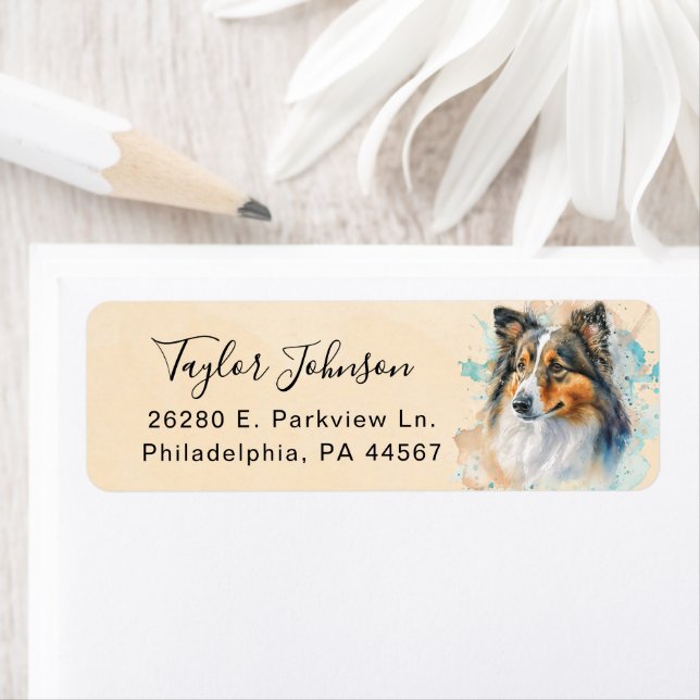 Shetland Sheepdog Return Address Label (Insitu)