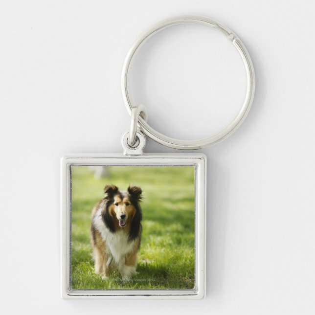 Shetland Sheepdog running on the grass Key Ring (Front)