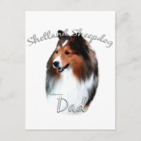 Shetland Sheepdog (sable) Dad 2