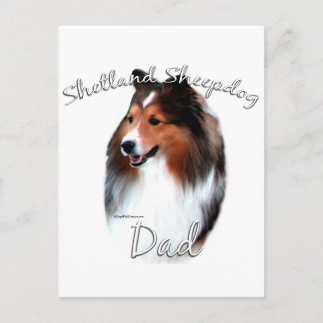 Shetland Sheepdog (sable) Dad 2 Postcard (Front)
