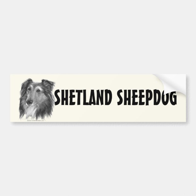 Shetland Sheepdog (Sheltie) Bumper Sticker (Front)