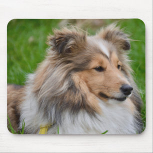 Shetland Sheepdog - Sheltie Dog Mouse Mat