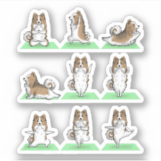 Shetland Sheepdog Sheltie Dog Yoga Pose Workout Ex