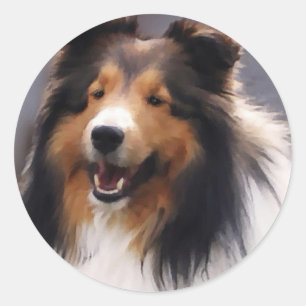Shetland Sheepdog Sheltie Gifts Classic Round Sticker