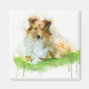 Shetland Sheepdog / sheltie Magnet