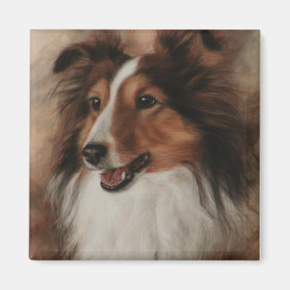 Shetland Sheepdog Sheltie smiling Magnet