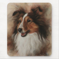 Shetland Sheepdog Sheltie smiling