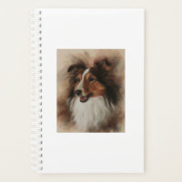 Shetland Sheepdog Sheltie smiling