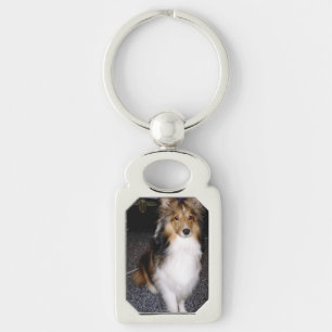 shetland sheepdog sitting 2 key ring