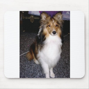 shetland sheepdog sitting 2 mouse mat