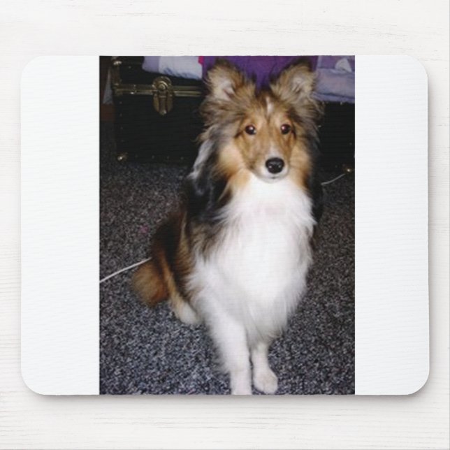 shetland sheepdog sitting 2 mouse mat (Front)