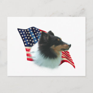 Shetland Sheepdog (tri) Flag Postcard