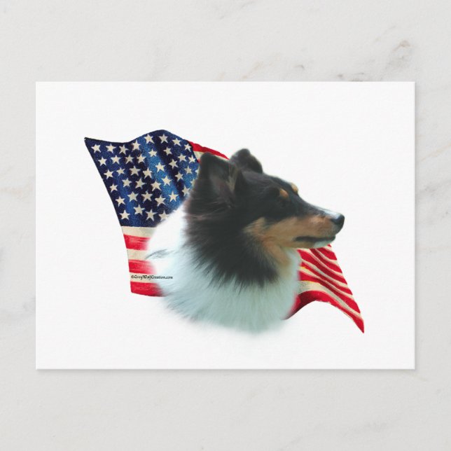 Shetland Sheepdog (tri) Flag Postcard (Front)