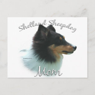 Shetland Sheepdog (tri) Mum 2 Postcard