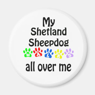 Shetland Sheepdog Walks Design Magnet