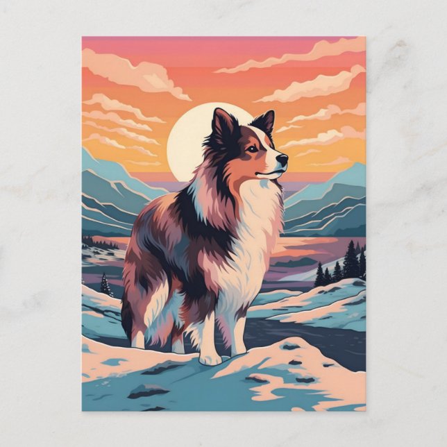 Shetland Sheepdog winter mountain forest during su Postcard (Front)
