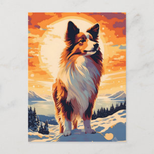 Shetland Sheepdog winter mountain forest during su Postcard