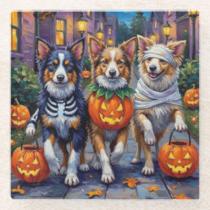 Shetland Sheepdogs in Halloween Costumes Glass Coaster
