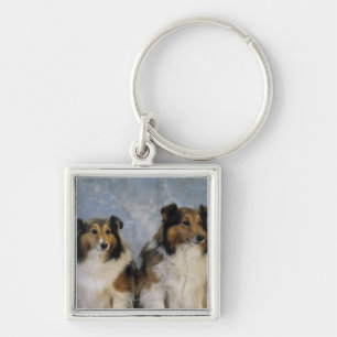 Shetland Sheepdogs Key Ring