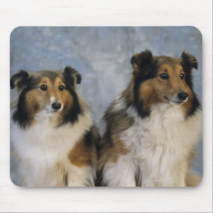 Shetland Sheepdogs Mouse Mat
