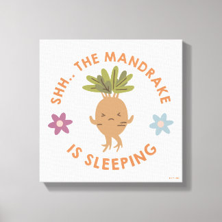 Shh.. The Mandrake Is Sleeping Canvas Print
