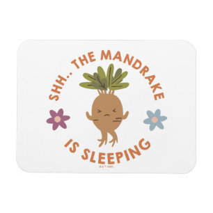 Shh.. The Mandrake Is Sleeping Magnet