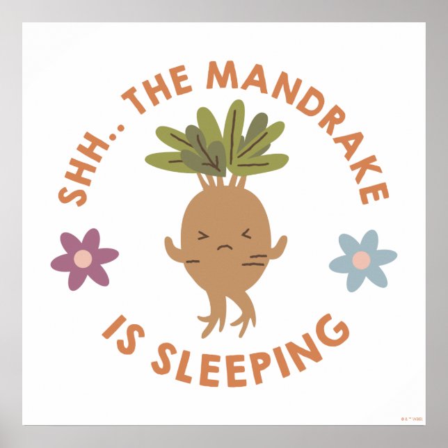 Shh.. The Mandrake Is Sleeping Poster (Front)