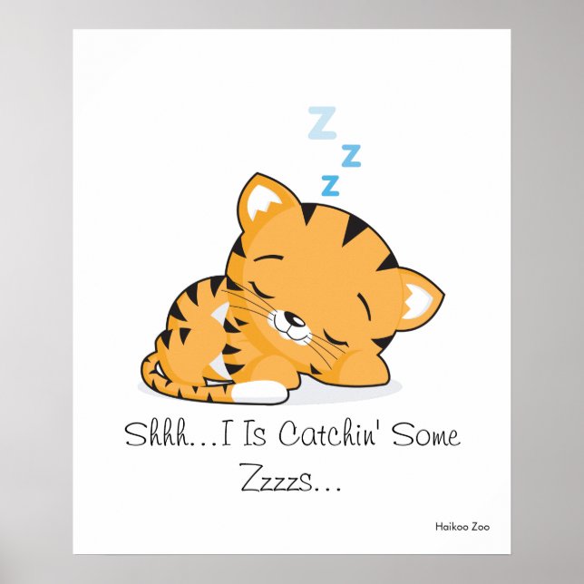 Shhh...I Is Catchin' Some Zzzzs... Poster (Front)