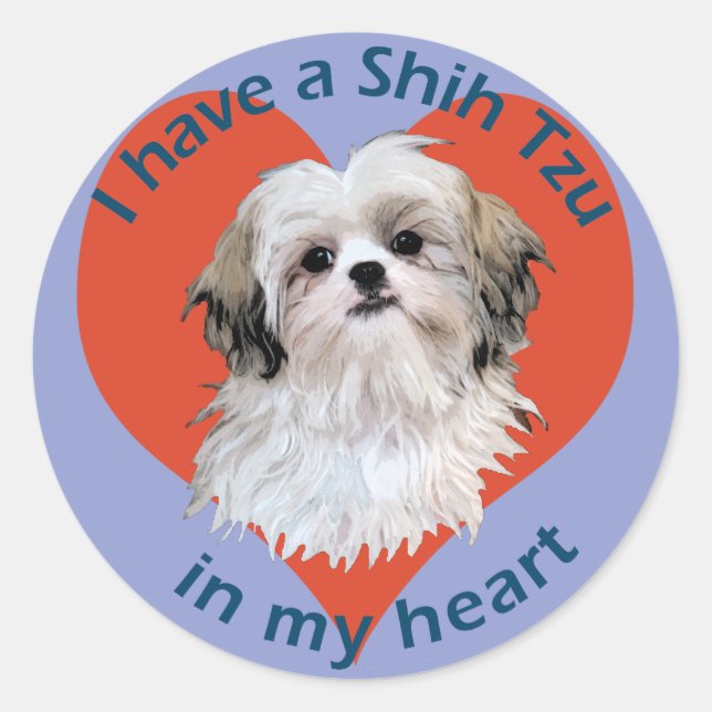 Shi Tzu in My heart Classic Round Sticker (Front)