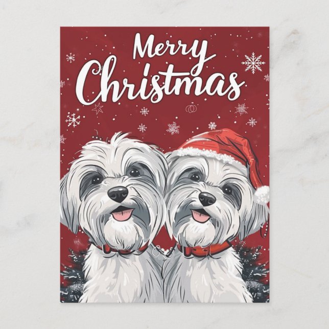 Shi Tzu Merry Christmas  Postcard (Front)