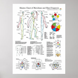 Shiatsu Acupuncture Meridians and Hara Diagnosis Poster