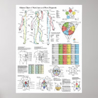 Shiatsu Acupuncture Meridians Hara Diagnosis Chart