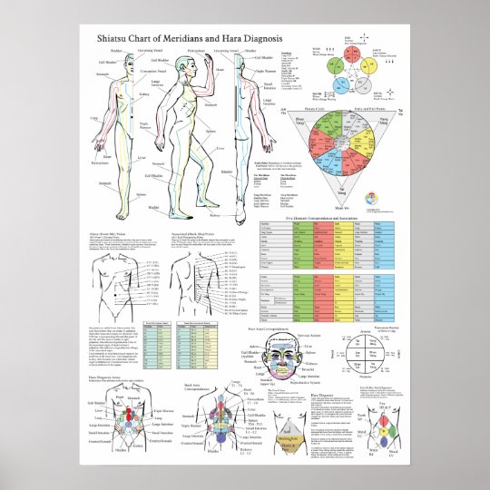 Shiatsu Acupuncture Meridians Hara Diagnosis Chart | Zazzle.co.uk