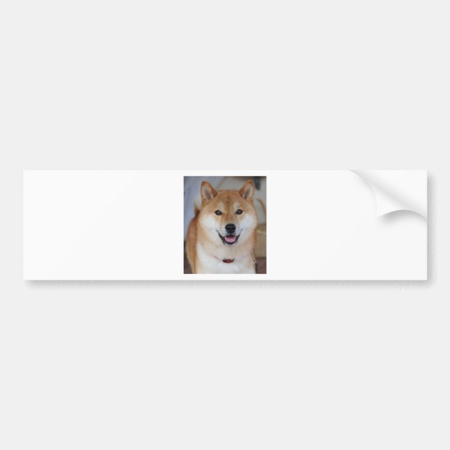 Shiba inu bumper sticker (Front)