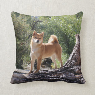 Shiba Inu Cushion