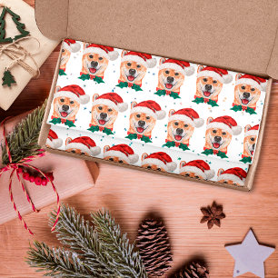 Shiba Inu Dog Breed Christmas Stars Tissue Paper